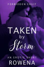 Taken by Storm (BWWM Cheating Domination Erotica)