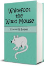 Whitefoot the Wood Mouse (Illustrated)