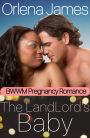 The Landlord's Baby (BWWM Pregnancy Romance)