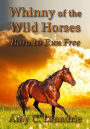 Whinny Of The Wild Horses(Without Cover) 2