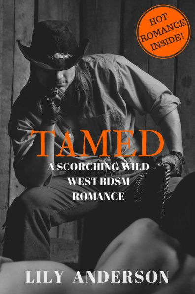 Tamed A Kinkyseductive Wild West Bdsm Romance By Lily Anderson Ebook Barnes And Noble® 