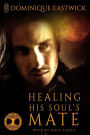 Healing His Soul's Mate (Wiccan Haus #13)