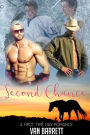 Second Chance (First Time Gay Romance)