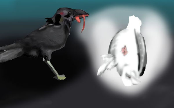 Dove & Crow Saga The Collection