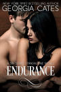 Endurance: A Sin Series Standalone Novel