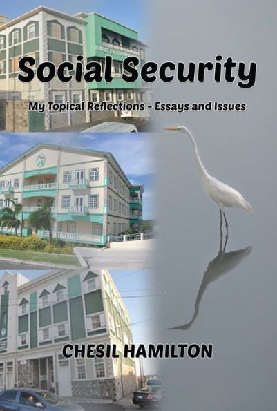 Social Security: My Topical Reflections - Essays and Issues