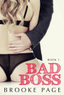 Bad Boss: The Office Romance Series