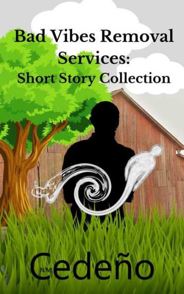 Bad Vibes Removal Services Short Story Collection