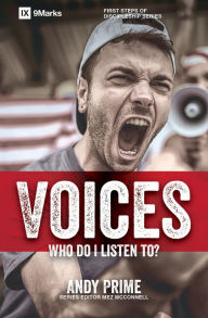 Title: Voices - Who Am I Listening To?, Author: Boydestiny