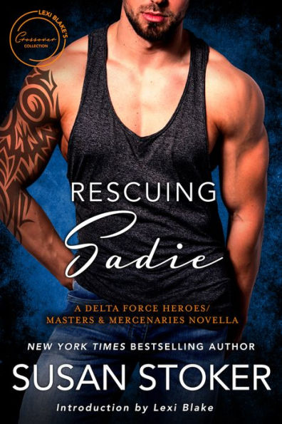 Rescuing Sadie: A Delta Forces Heroes/Masters and Mercenaries Novella