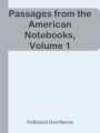 Passages from the American Notebooks, Volume 1