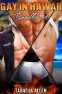 Gay in Hawaii Bundle Set (Queer Fiction)