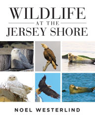 Title: Wildlife at the Jersey Shore, Author: Arnny Montana