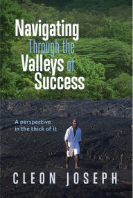 Title: Navigating Through the Valleys of Success - A Perspective in the Thick of it, Author: J Nolan