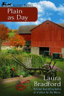 Plain as Day (An Amish Mystery Short Story)