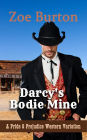 Darcy's Bodie Mine