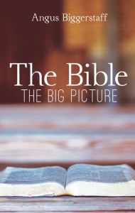 Title: The Bible: The Big Picture, Author: Angus Biggerstaff