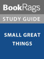 Summary & Study Guide: Small Great Things
