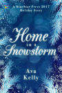 Home in a Snowstorm