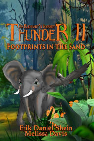 Title: Thunder II: Footprints in the Sand, Author: Erik Daniel Shein