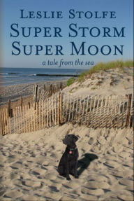 Title: Super Storm Super Moon: A Tale from the Sea, Author: Quart of Blood Technique