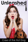 Unleashed: Case of the Hot Dog (Unleashed Series #2)