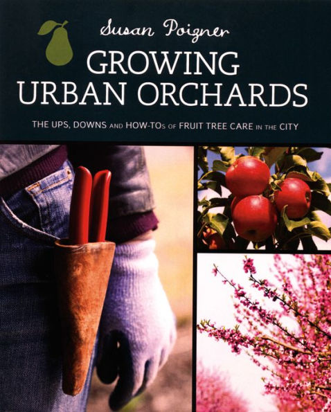 Growing Urban Orchards: How to Care for Fruit Trees in the City and Beyond