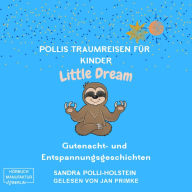 Pollis Traumreisen für Kinder - Little Dream (ungekürzt)