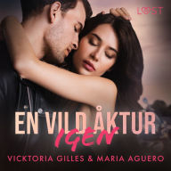 En vild åktur igen - erotisk romance