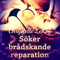 Söker brådskande reparation - erotisk novell