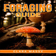 FORAGING GUIDE: How to Gather and Store Wild Plants Throughout the Year (2022 for Beginners)