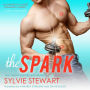 The Spark: An Enemies-to-Lovers Romantic Comedy