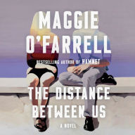 The Distance Between Us: A Novel