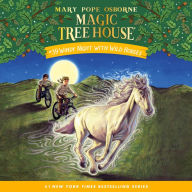 Windy Night with Wild Horses by Mary Pope Osborne: 9780593706473