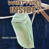 What Hides Inside?