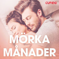 Mörka månader - erotiska noveller