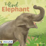 The Kind Elephant