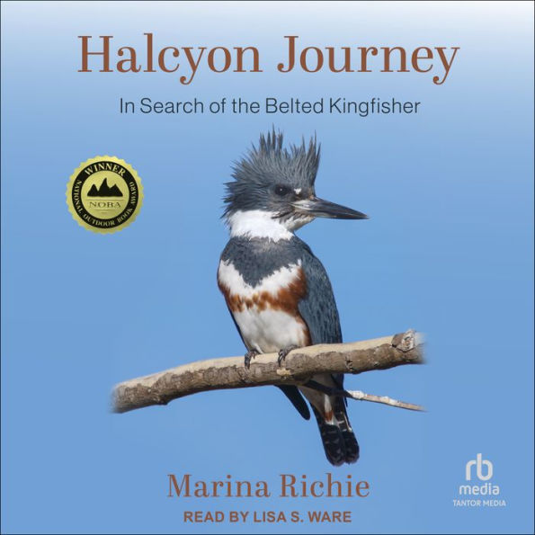 Halcyon Journey: In Search of the Belted Kingfisher