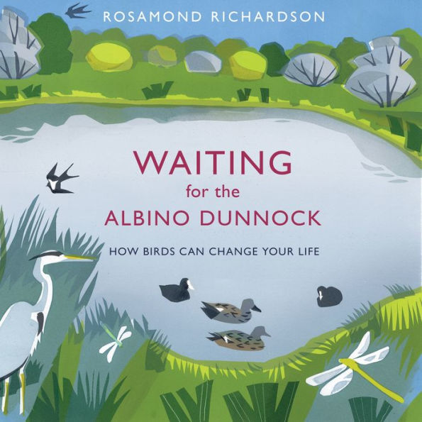 Waiting for the Albino Dunnock: How birds can change your life