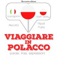 Viaggiare in Polacco: 