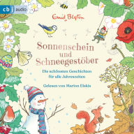 Sonnenschein und Schneegestöber - Die schönsten Geschichten für alle Jahreszeiten