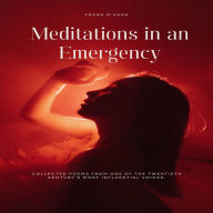 Meditations in an Emergency