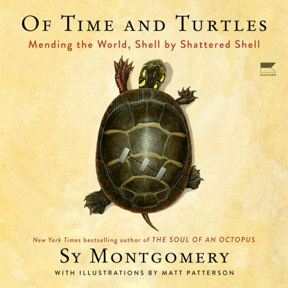 Of Time and Turtles: Mending the World, Shell by Shattered Shell - Mending the World, Shell by Shattered Shell: A heartwarming compassionate portrait of injured turtles, perfect for nature lovers.