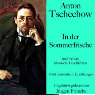 Anton Tschechow: In der Sommerfrische - und weitere klassische Geschichten: Fünf meisterhafte Erzählungen
