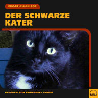 Der schwarze Kater