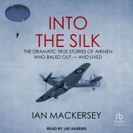 Into the Silk: The Dramatic True Stories of Airmen Who Baled Out - And Lived