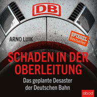 Schaden in der Oberleitung: Das geplante Desaster der Deutschen Bahn