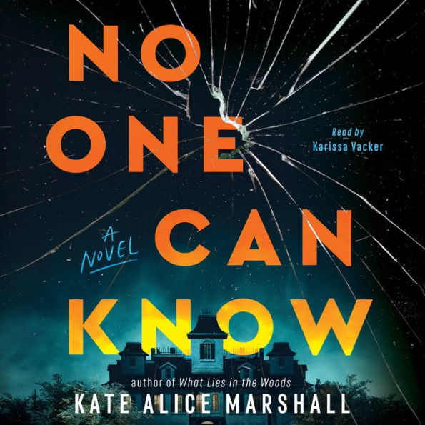 No One Can Know: A Novel