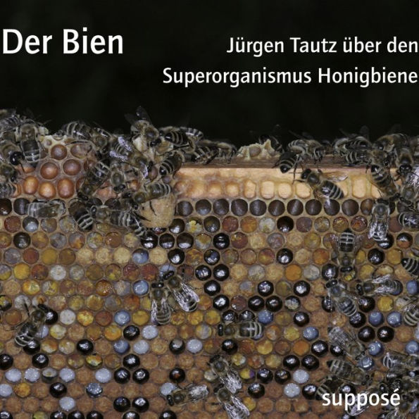 Der Bien: Jürgen Tautz über den Superorganismus Honigbiene