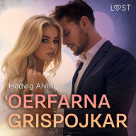 Oerfarna grispojkar - erotisk novell